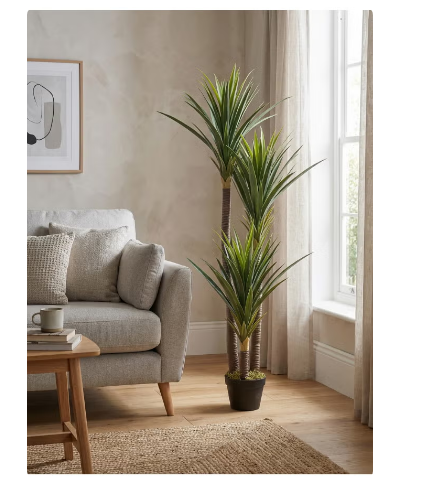 Yucca 150cm (5 ft) Tall Artificial Tree with Pot | Floor Plant with Lifelike Design & Texture - Green | Decorative Natural Texture Tree for Home, Living Room, Study & Office spaces