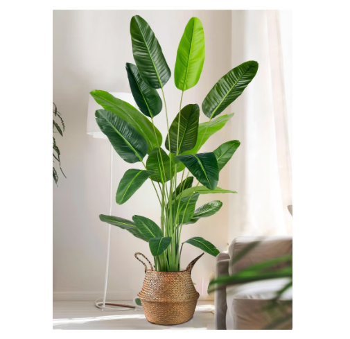 Artificial Bird of Paradise Plant（160cm）: A faux palm tree perfect for indoor or outdoor modern decoration