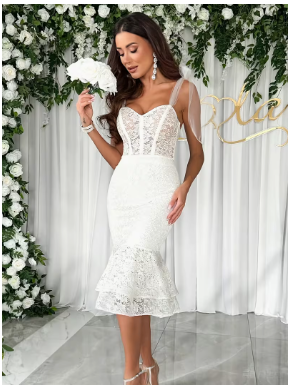 Women's Lace & Mesh Mermaid/Fishtail Dress 